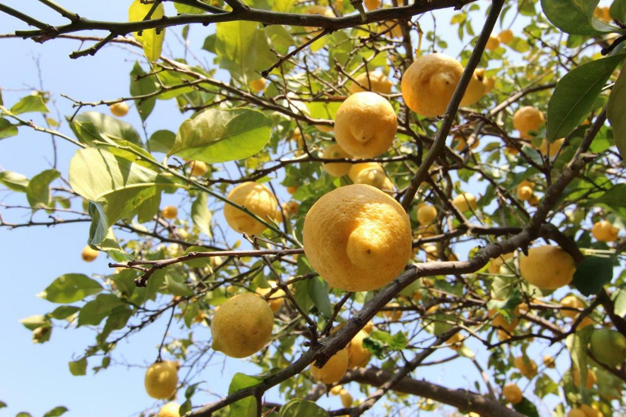 Le Valmont Appartamento